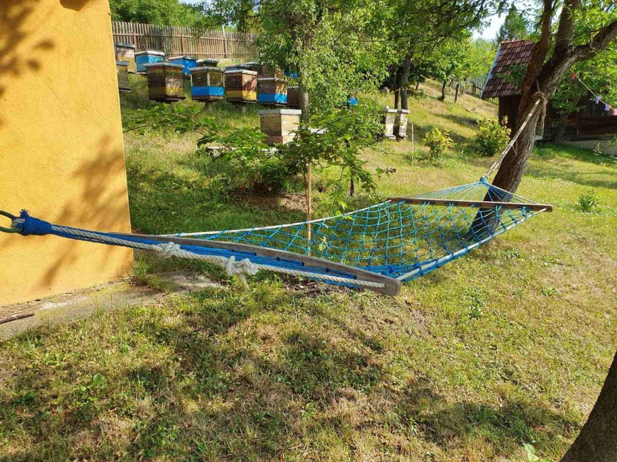 Apartman Draga Panzió Mokra Gora Kültér fotó